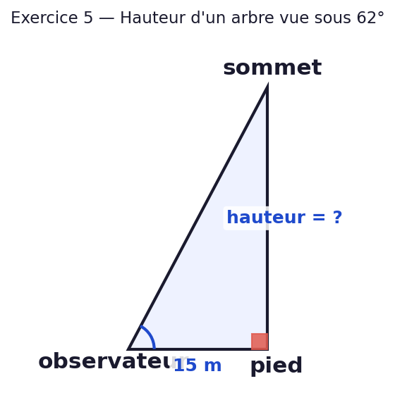 Schema avec observateur a 15 m du pied d un arbre et angle d elevation de 62 degres