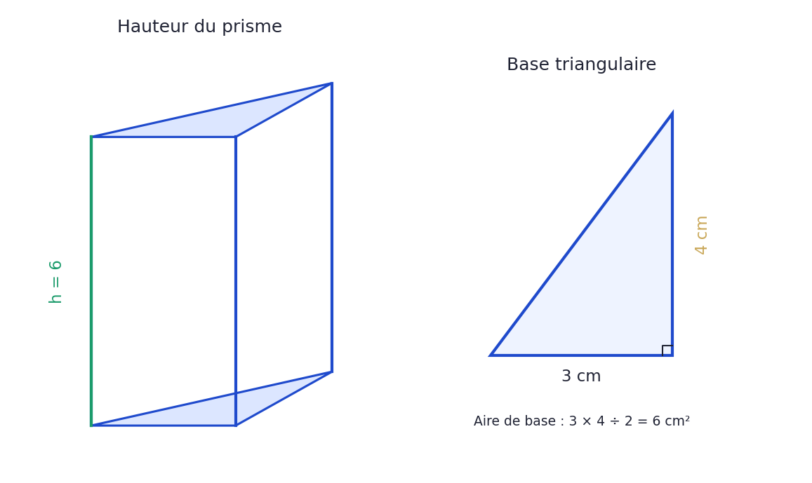 Un prisme de hauteur 6 cm a une base triangulaire rectangle de côtés perpendiculaires 3 et 4 cm.