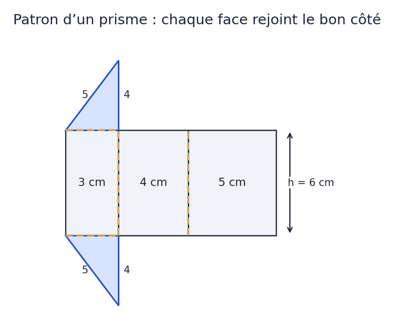 Patron formé de rectangles de largeurs 3, 4 et 5 cm et de triangles rectangles orientés pour raccorder les côtés de mêmes longueurs.